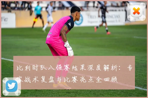 比利时队八强赛结果深度解析:专家战术复盘与比赛亮点全回顾